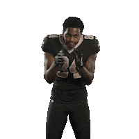 Football Sport Sticker by New Orleans Saints
