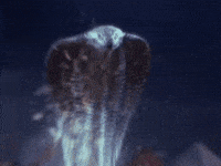 Purvi GIF