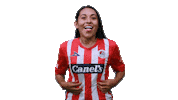 San Luis Soccer Sticker by Atlético de San Luis