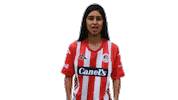 San Luis Soccer Sticker by Atlético de San Luis