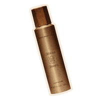 Blake Lively Haircare Sticker by Blake Brown Beauty