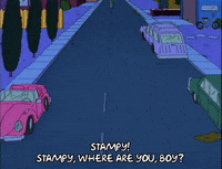 season 5 GIF