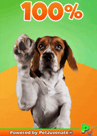 PetJuvenate  GIF