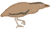 Bird Sticker