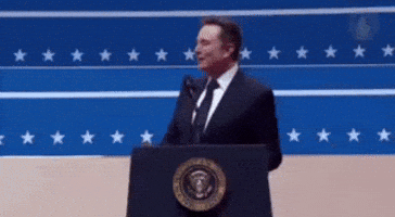 jimsockscf97f9430e7b437d8eca5679224d704d elon musk GIF