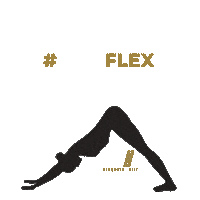 Letsflex Sticker by striit