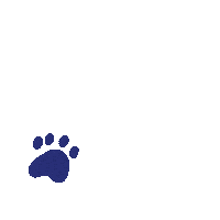 NovalisInnovativeFlooring paws pet friendly lvp procore Sticker