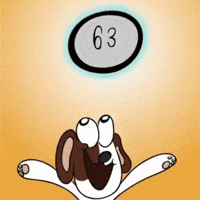 Dog Compete GIF by VeeFriends