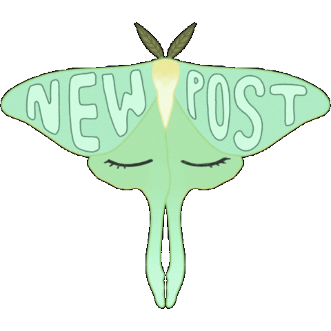 Social Media New Post Sticker