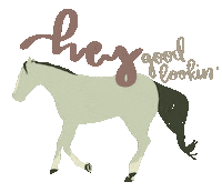 Horse And Rider Sticker by Molly Virginia Morris Photography