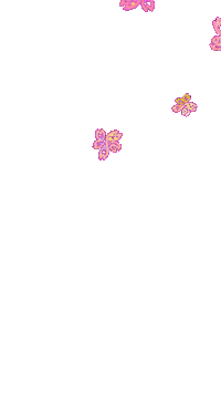 Cherry Blossoms Spring Sticker by yu-san