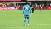 Major League Soccer Football GIF by D.C. United