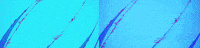 bounce celebrate GIF