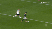football passing GIF by VfL Wolfsburg