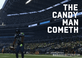 Seattle Seahawks GIF by Madden Giferator