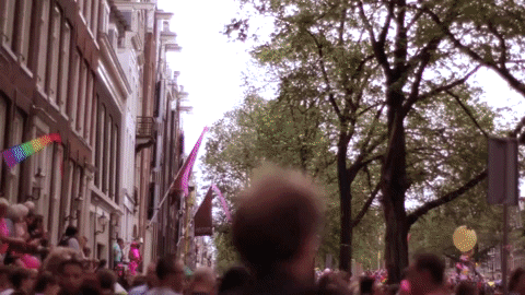 GIF by Pulitzer Amsterdam