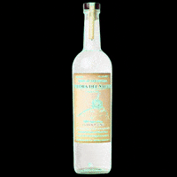 Drink Cheers GIF by Mezcal Piedra del Santo
