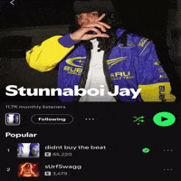 Stunna GIF