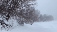Lake Effect Snowfall Sweeps Oswego, New York
