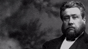 Church Baptist GIF