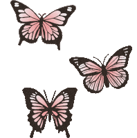 Vivid Sticker by VividBelleza