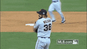 sf 137 GIF by MLB