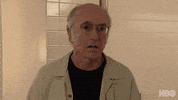 Season 2 Wow GIF by Curb Your Enthusiasm