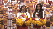 Cheer GIF by CUCougars