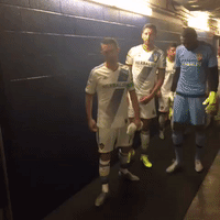 lavnyc GIF by LA Galaxy