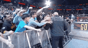 Bill Goldberg Wrestling GIF by WWE
