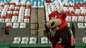 Baseball Saltillo GIF by Toros de Tijuana