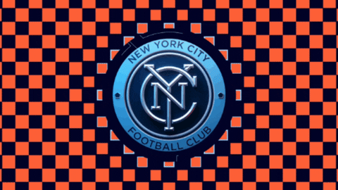 Major League Soccer Football GIF by NYCFC