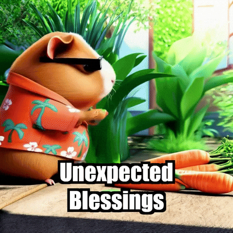 Gratitude Wisdom GIF by Guinea Gambino
