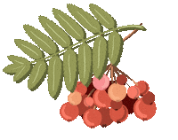 Autumn Осень Sticker