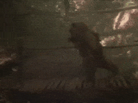 caravan of courage GIF by mdleone