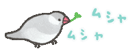Bird Eat Sticker