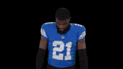 Football Nfl GIF by Detroit Lions