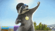 boomerangtoons happy funny fun cute GIF
