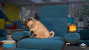 boomerangtoons happy funny fun cute GIF