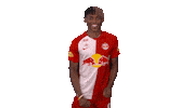 Happy Dance Sticker by FC Red Bull Salzburg