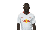 rb leipzig Sticker by Bundesliga