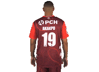 Sport Bundesliga Sticker by 1. VFL Potsdam
