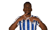 Home Swipe Up Sticker by Hertha BSC