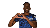 Home Swipe Up Sticker by Hertha BSC