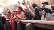 nyeonthehill festival new years eve music festival the hills are alive GIF