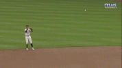 Yankees GIF by Jomboy Media
