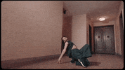 Facebook GIF by Partizan