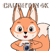 Red Handed Gotcha Sticker by Raposa Coffee