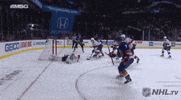 celebrate ice hockey GIF by NHL