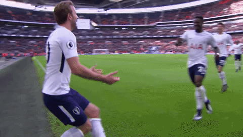 london football GIF by Tottenham Hotspur